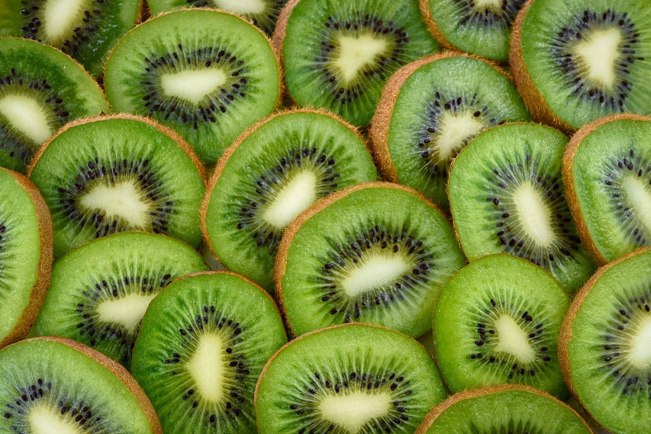 スタッフ紹介