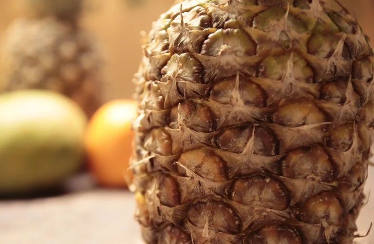 自分に合った職業訓練が見つかる！新しい未来へ踏み出そう。