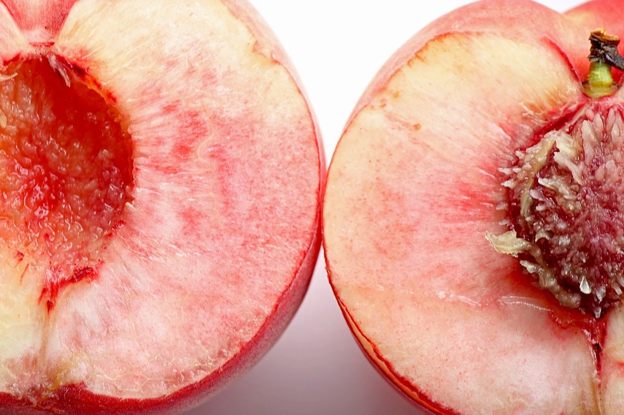 4. 見学・体験のご案内
