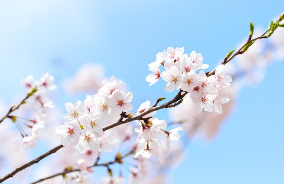 一人ひとりに寄り添うサポート – 新しい働き方を上尾で実現！