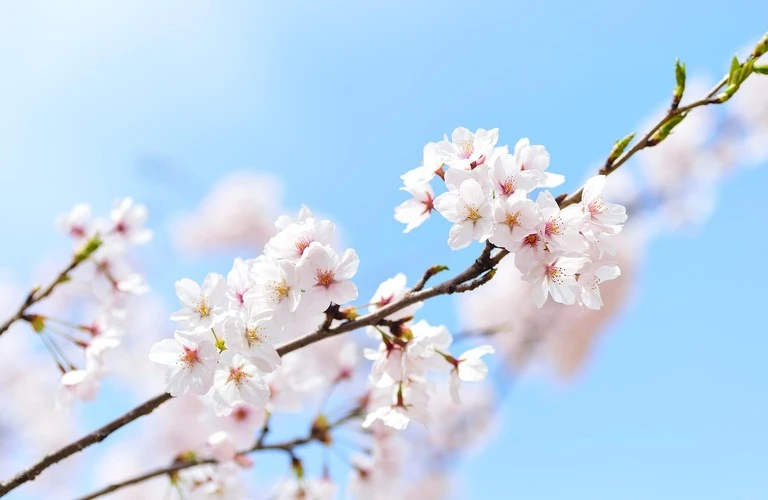 一人ひとりに寄り添うサポート – 新しい働き方を上尾で実現！
